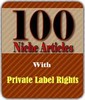 Thumbnail 100 Niche Articles Thumbnail 100 Niche Articles