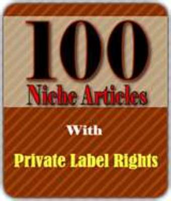 Product picture 100 Niche Articles 